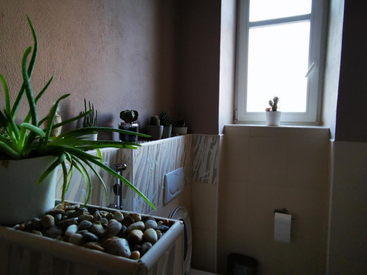 Falcon Apartment Trnawa Zewnętrze zdjęcie